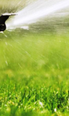 Ahorrar agua y mantener el jardín verde con grama sintética