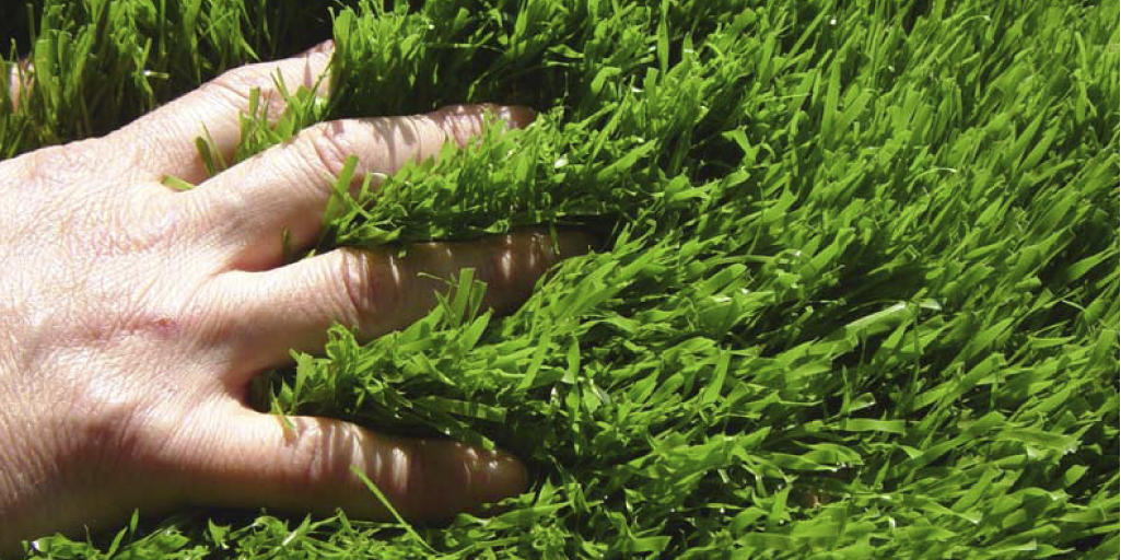 comprar grama artificial en barranquilla para proyectos con grama sintética